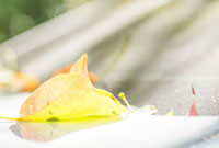 的现代化平 的现代化平