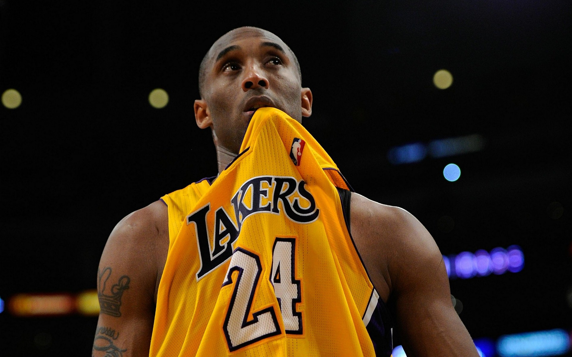 进的训练科 进的训练科