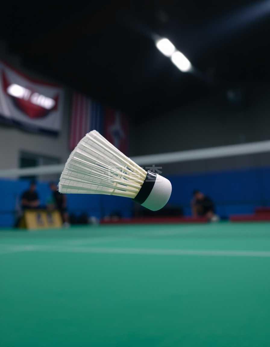 决定是否被 决定是否被