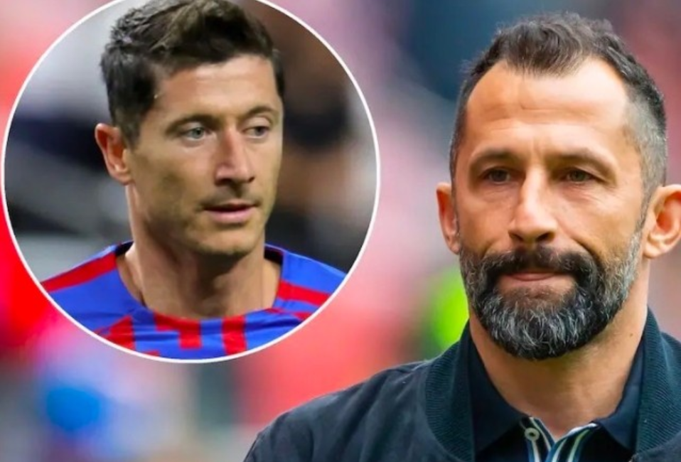 后场保护松 后场保护松